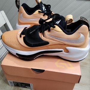 Nike ZOOM FREAK 3 TB, Antetokounmpo NBA Superstar